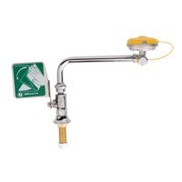 Eye/Face Wash Station, Sink Mount Installation Sidevic Inc.