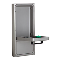 Eye/Face Wash Station, Wall-Mount Installation Sidevic Inc.