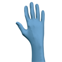 Gants N-Dex 7500PF, Petit, Nitrile, 4 mils, Sans poudre, Bleu Sidevic Inc.
