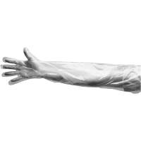 Disposable Gloves, Large, Polyethylene, 9-mil, Powdered, Clear Sidevic Inc.