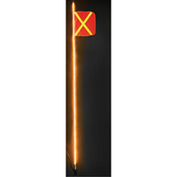 Safety Whip&reg; Heavy-Duty LED Whips, Hitch Mount, 10 High, Orange with Reflective Sidevic Inc.