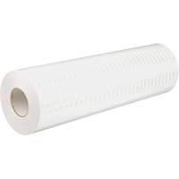 High Intensity Prismatic Grade Reflective Sheeting, 2" W x 150' L, 19 mils, White Sidevic Inc.