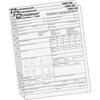 Dynamic Patient Assessment Chart Sidevic Inc.