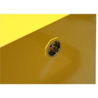 Armoire pour produits inflammables, 4 gal., 1 Porte(s), 17" La x 22" h x 18" p Sidevic Inc.