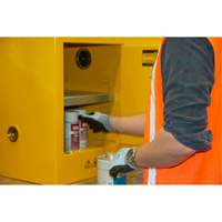Armoire pour produits inflammables, 4 gal., 1 Porte(s), 17" La x 22" h x 18" p Sidevic Inc.