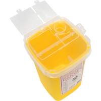 Sharps Container, 1 L Capacity Sidevic Inc.
