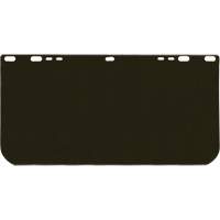 Visi&egrave;re Valuguard, Polycarbonate, Teinte Vert Sidevic Inc.
