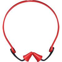 Earplugs
