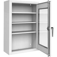 Lockable Medicine Cabinet with Plexiglas Door Sidevic Inc.