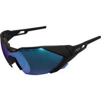 Lunettes de s&eacute;curit&eacute; de type E, Lentille Bleu, Antibu&eacute;e/Anti-&eacute;gratignures, ANSI Z87+ Sidevic Inc.