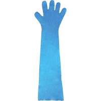 Disposable Gloves