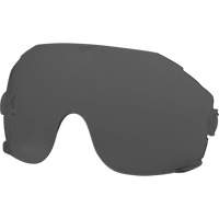 Lentilles de rechange pour visi&egrave;re, Teinte Grise/fum&eacute;e Sidevic Inc.