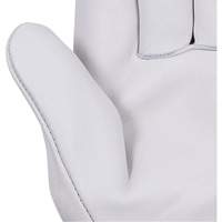 535G Gants de chauffeur beige, Petit, Paume en Cuir fleur de vache Sidevic Inc.