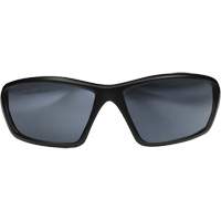 Robson Safety Glasses with Gasket, Silver Mirror Lens, Anti-Scratch/Polarized, ANSI Z87+/MCEPS GL-PD 10-12/Meets/Exceeds CSA Z94.3 Sidevic Inc.