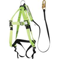 FBH-10000A5440-4 Harnais & longe classe A de 4' avec capacit&eacute; de 220 lb, Combinaison harnais/longe Sidevic Inc.