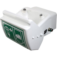 Eye/Face Wash, Wall-Mount Installation, Plastic Bowl Sidevic Inc.