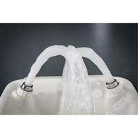 Eye/Face Wash, Wall-Mount Installation, Plastic Bowl Sidevic Inc.