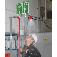 Combination Shower with Closed ABS Bowl & Top Inlet, Pedestal Sidevic Inc.