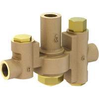 Mid-Capacity Thermostatic Mixing Valve for Individual Eye/Face Wash Stations, 2 - 35.1 GPM Sidevic Inc.