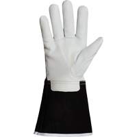 Endura&reg; 399GKGL5 Welding Gloves, Grain Goatskin, Size X-Small Sidevic Inc.