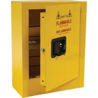 Armoire de s&eacute;curit&eacute; miniature pour produits inflammables, 2 gal., 1 Porte(s), 17" La x 22" h x 8" p Sidevic Inc.