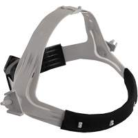 Face Protection