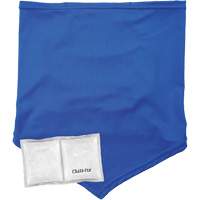 Chill-Its 6482 Cooling Neck Gaiter Bandana with Rechargeable Phase Change Packs, Small/Medium, Blue Sidevic Inc.