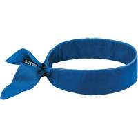 Chill-Its 6702 Cooling Headband with Embedded Polymers & Tie Closure, Blue Sidevic Inc.