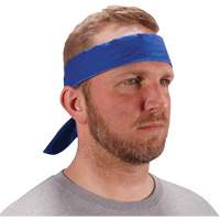 Chill-Its 6702 Cooling Headband with Embedded Polymers & Tie Closure, Blue Sidevic Inc.