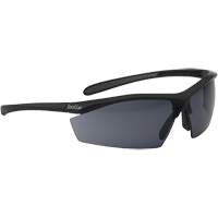 Sentinel Ballistic Protection Safety Glasses, Smoke Lens, Anti-Fog/Anti-Scratch, ANSI Z87+ Sidevic Inc.