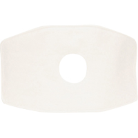 North&reg; Replacement Filter, Particulate Filter, N99 Filter Sidevic Inc.