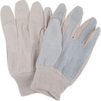 Gants de travail d'usage standard, Grand, Paume en Cuir de vache refendu Sidevic Inc.