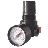 Mini Regulators, 1/4" NPT, 165 PSI Max. PSI, Modular Sidevic Inc.