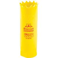 Bi-Metal Holesaw - 13/16", 13/16", 2" Depth of Cut, Bi-Metal Sidevic Inc.