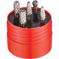 ST Cut Rotary Burr Set, 5 Pieces Sidevic Inc.
