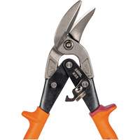 Compound Action Snips Sidevic Inc.
