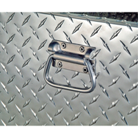 Aluminum Fuel Transfer Tank & Chest, Aluminum, 74 gal. Capacity, Silver Sidevic Inc.