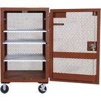 Mobile Mesh Cabinet, Steel, 22 Cubic Feet, Red Sidevic Inc.