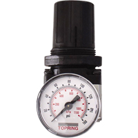 Regulators, 1/4" NPT, 150 PSI Max. PSI, Modular Sidevic Inc.
