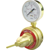 Medium-to-Heavy-Duty Pipeline Regulator, Propane, 1/4" NPT(F) Port Inlet Sidevic Inc.