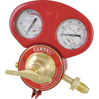 153 Series - Gauge Protectors Sidevic Inc.