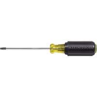 Tournevis Klein a/manche caoutchout&eacute;-Tournevis Torx &agrave; tige ronde Sidevic Inc.