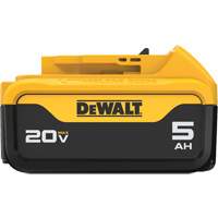 Bloc-piles Max XR Premium, Lithium-ion, 20 V, 5 A Sidevic Inc.