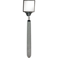 Acrylic Inspection Mirror, Square, 2" L x 2" W, Telescopic Sidevic Inc.