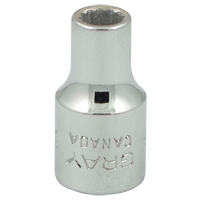 Socket, 3/16", 1/4" Drive, 12 Points Sidevic Inc.