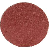 Roloc Disc 361F, 1-1/2" Dia., P100 Grit, Aluminum Oxide Sidevic Inc.