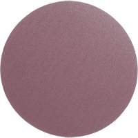 Meule en toile PSA 348D, dia 12", Grain 60, Oxyde d'aluminium, Poids Sidevic Inc.