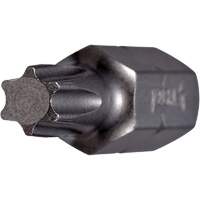 Insert Bit, Torx, 20, 1/4" Drive Sidevic Inc.