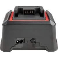 2.5 Ah & 5.0 Ah Battery Charger, 120 V, Lithium-Ion Sidevic Inc.