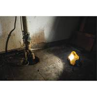 Lampe d'&eacute;clairage direct compact 12V/20V Max, DEL, 2000 Lumens Sidevic Inc.